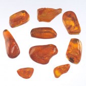 UNMOUNTED NINE MULTI-SHAPE POL
