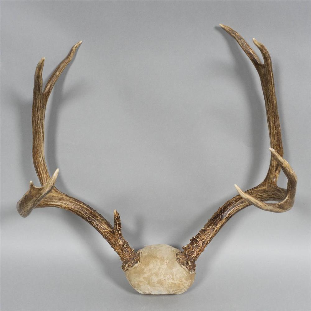 UNMOUNTED STAG ANTLERS, NINE