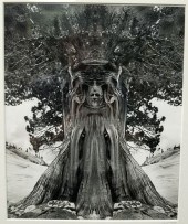UNTITLED, 1994 JERRY UELSMANN