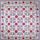UNUSUAL ANTIQUE ROSE VARIATION