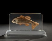 Unusual Carved Lucite "Fish" T