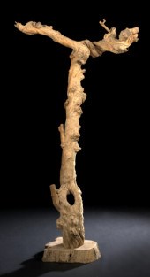 Unusual Coffee Tree Trunk,  of