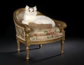Unusual French Carved Giltwood