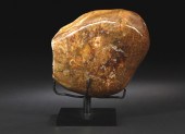 Unusual Polished Specimen of P