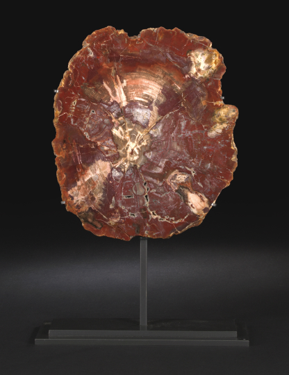 Unusual Slab Specimen of