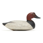UPPER BAY MARYLAND REDHEAD<br>