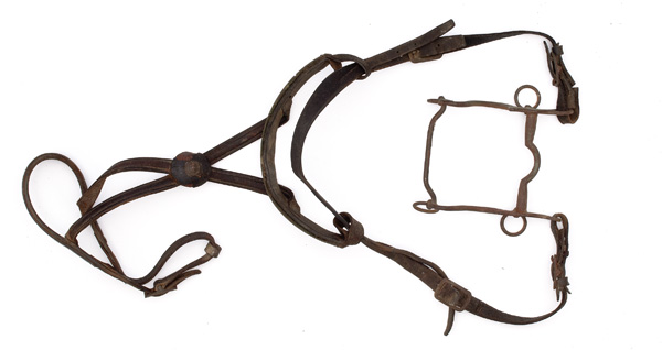 U.S. Pre-Civil War Dragoon Bit