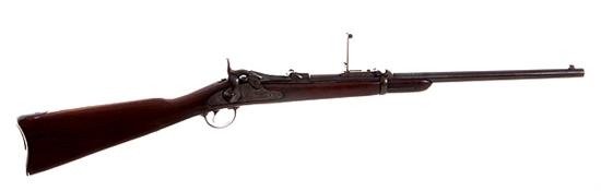 U.S. Springfield Model 1873