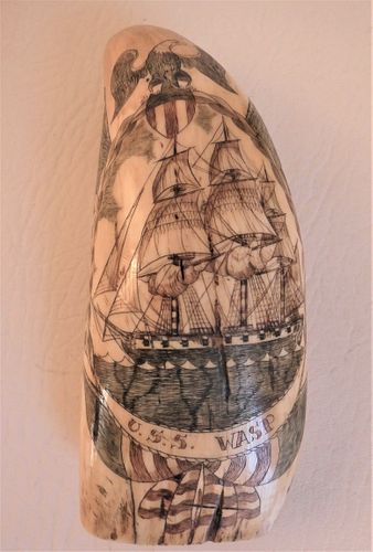 USS WASP WHALE TOOTH BY
