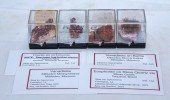 VANADINITE & OTHER MINERAL SPE