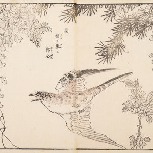 Various Artists 19TH-20TH CENTURY