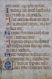 VELLUM PSALM 119:36-46Vellum P