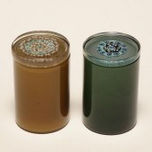 Venini Murrine glass jars. Gre