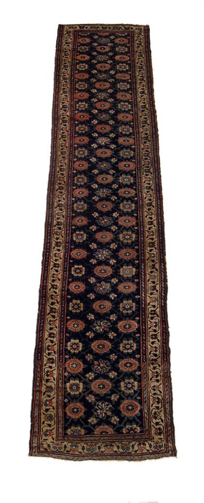 Veramin runner    north persia,