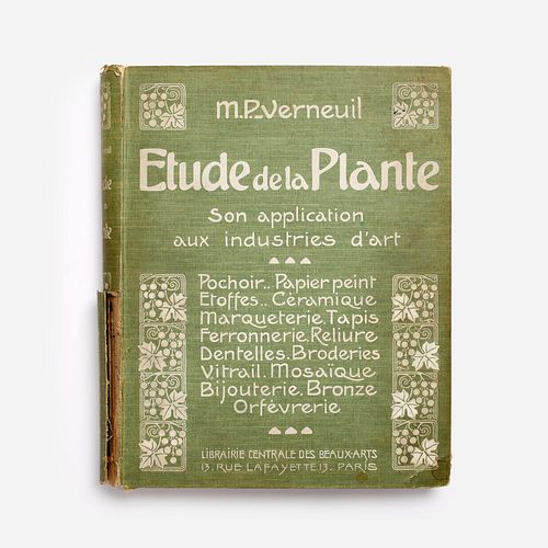 VERNEUIL "ETUDE DE LA PLANTE"