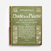 VERNEUIL "ETUDE DE LA PLANTE"