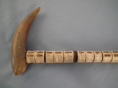 VERTEBRAE CANE19th century