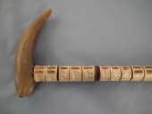 VERTEBRAE CANE19th century seg