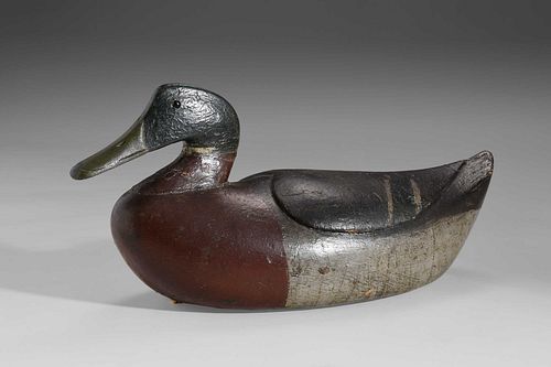 VERY RARE CAINES BROTHERS MALLARD