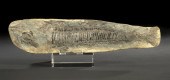Very Rare Fossilized Fish Spec