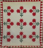 VIBRANT STAR FLOWER APPLIQUED