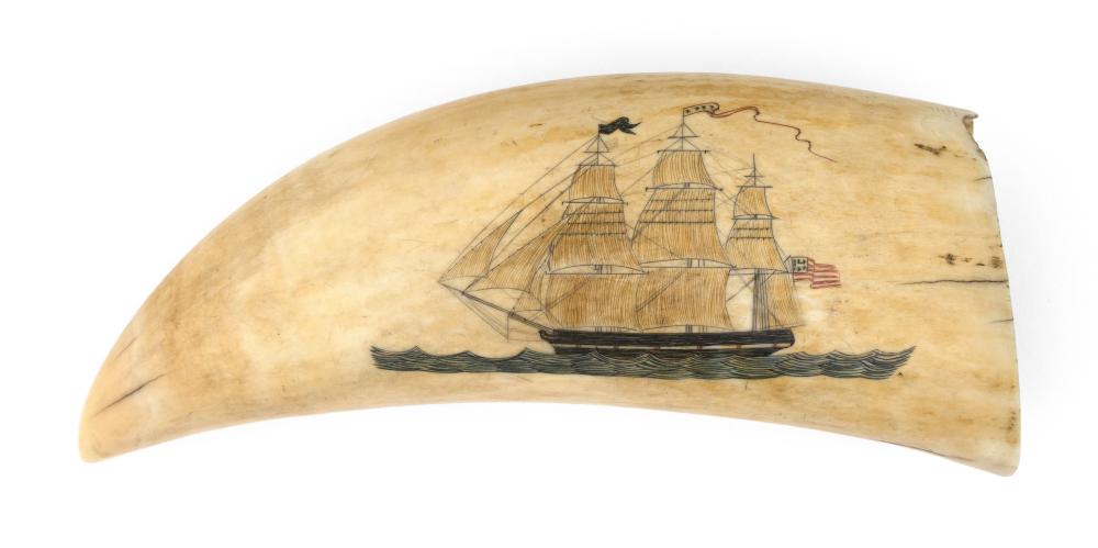 VIBRANTLY POLYCHROMED SCRIMSHAW