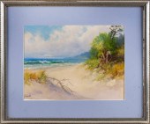 VICTOR CASENELLI (MICHIGAN/OHI