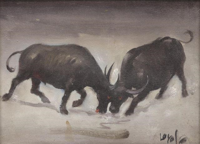 VICTOR LOYOLA (PHILIPPINES) BULL