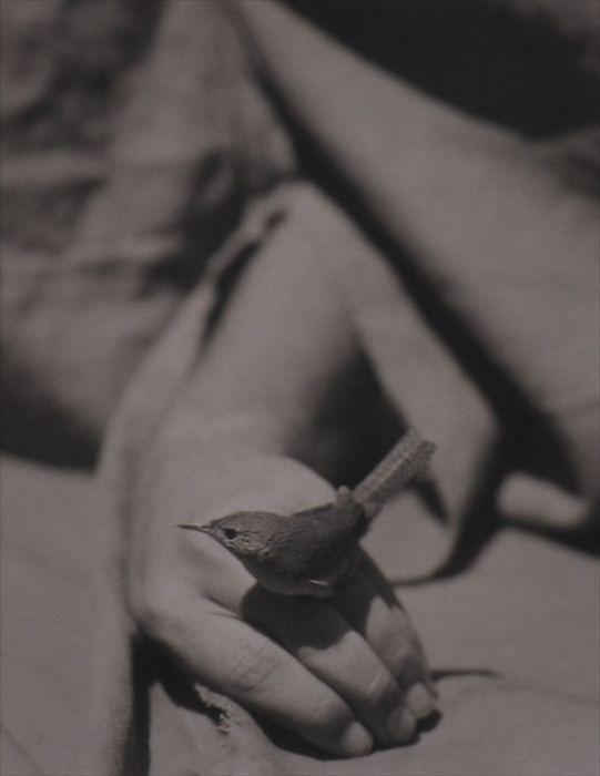 VICTOR SCHRAGER (b. 1950): HOUSE
