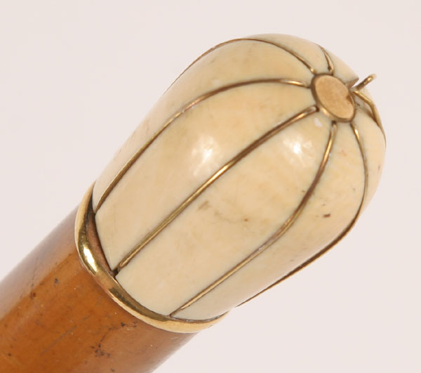 Victorian cane/walking stick with