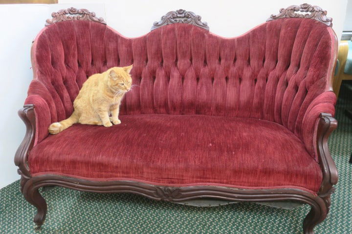 . VICTORIAN ERA PARLOR SETTEE