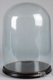 VICTORIAN GLASS DOME, 19TH C.V
