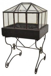 VICTORIAN WARDIAN CASE ON WROU