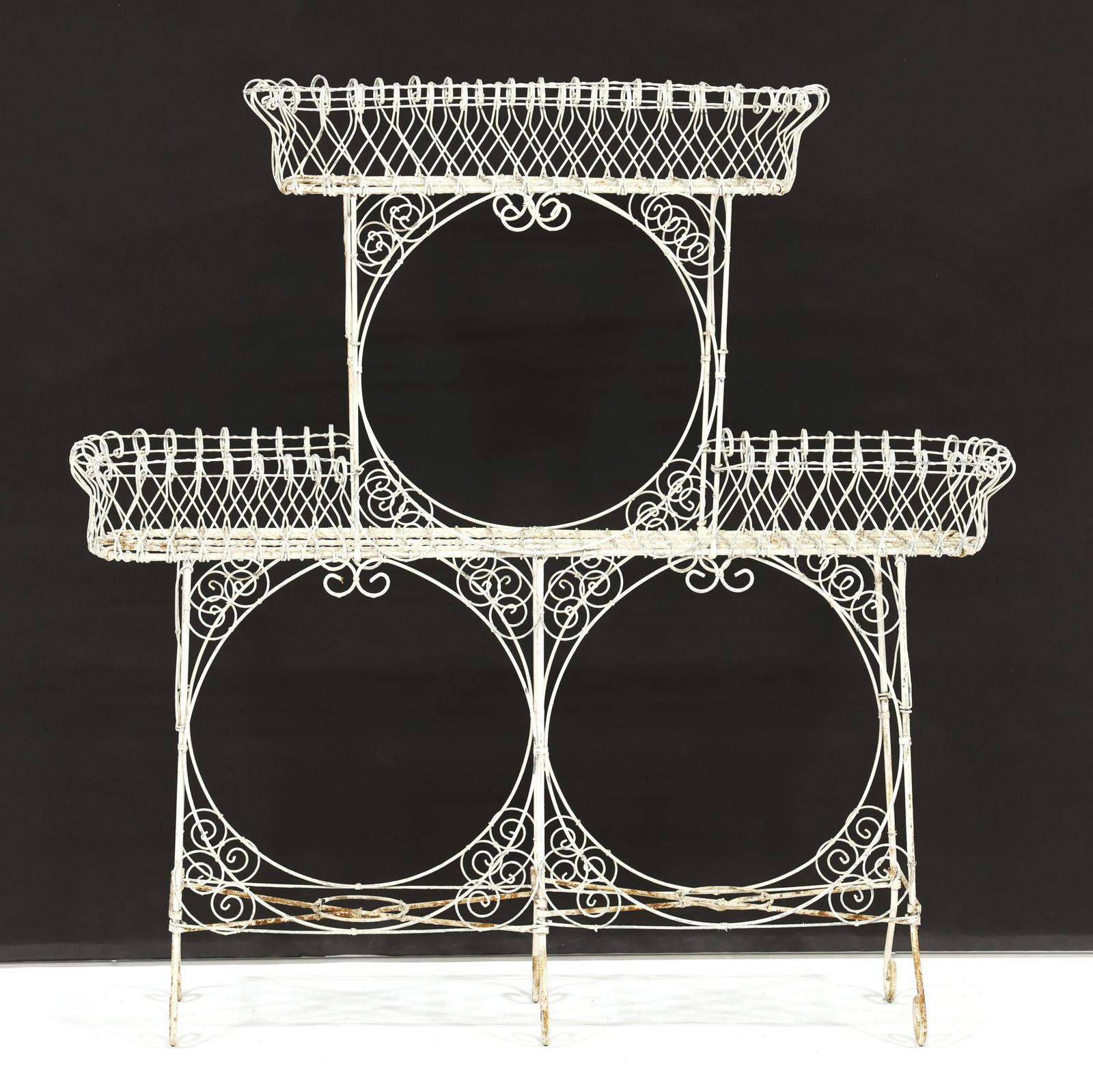 VICTORIAN WIREWORK PLANT
