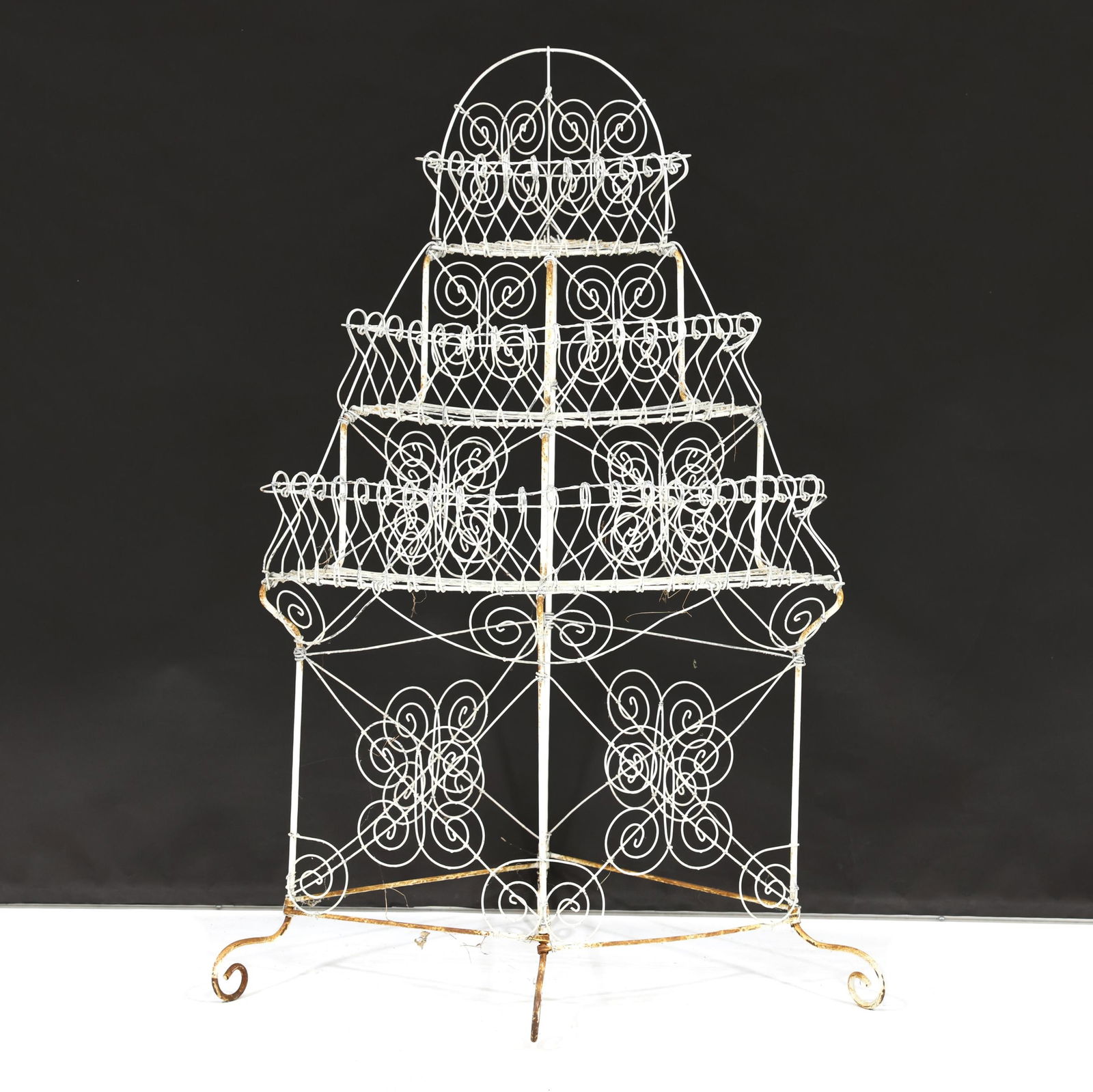 VICTORIAN WIREWORK PLANT