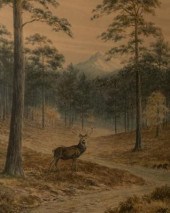 Vincent R Balfour Browne (1880