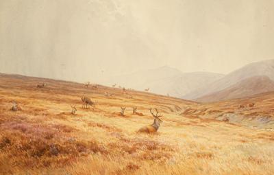 Vincent R Balfour-Browne