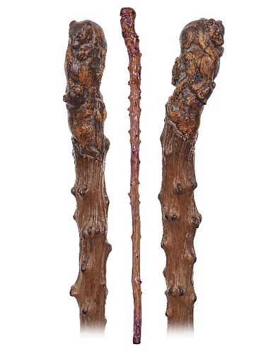 VINE BEARS CANE-Ca 1900