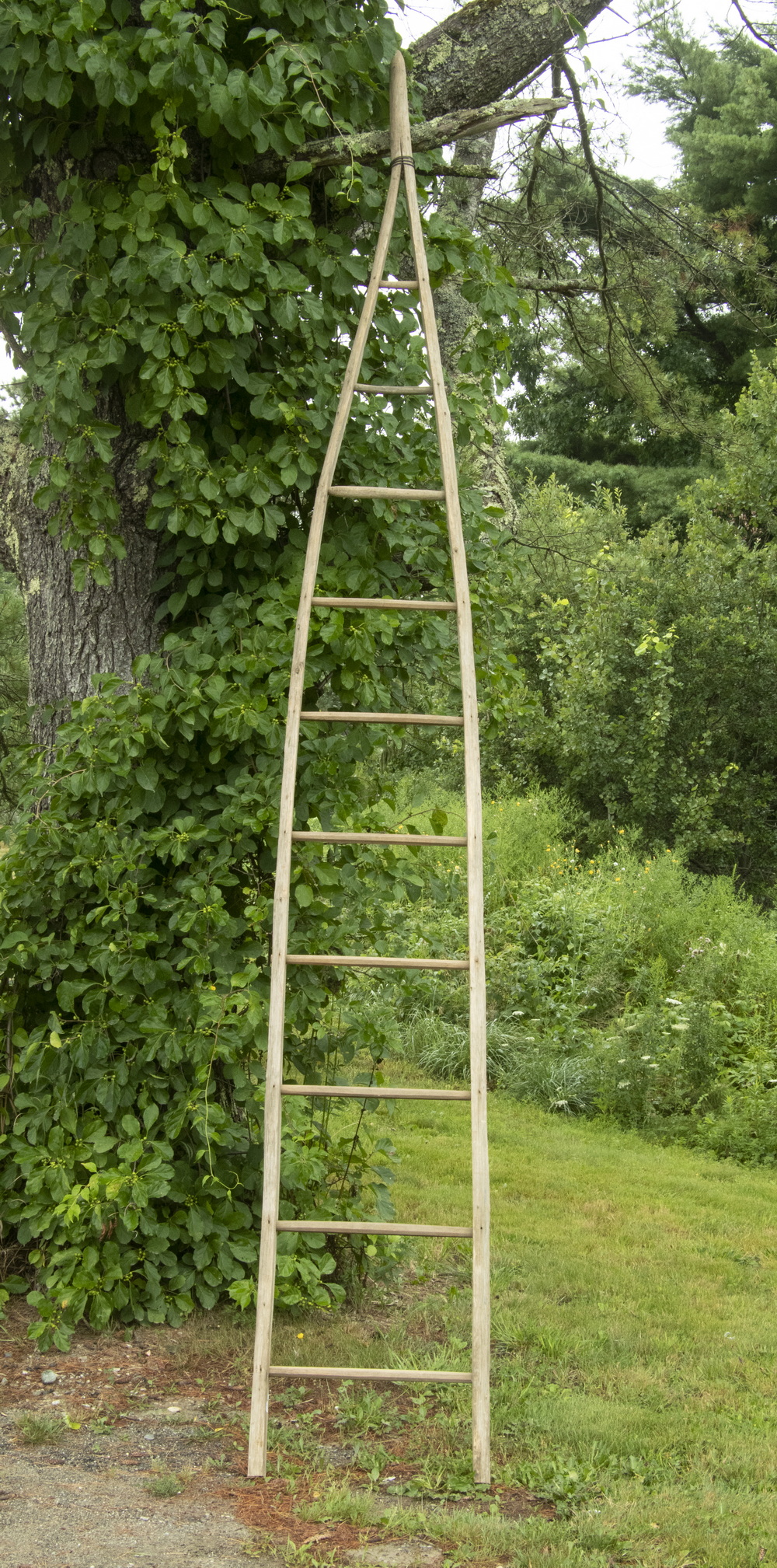 VINTAGE APPLE PICKING LADDER Wooden