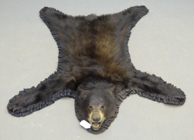 Vintage bear rug.