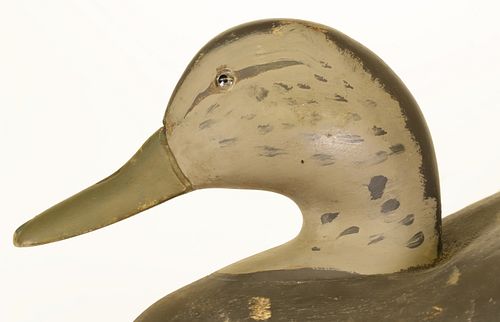 VINTAGE C. COFFIN BLACK DUCK