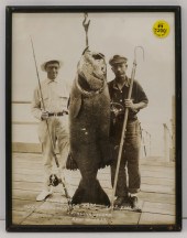 Vintage Catalina Island Sea Ba