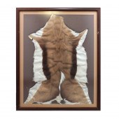 VINTAGE DEER SKIN TAXIDERMY RU