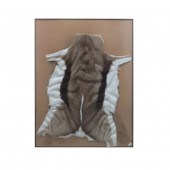 VINTAGE DEER SKIN TAXIDERMY RU