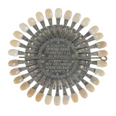 VINTAGE DENTAL VENEER SHADE GU