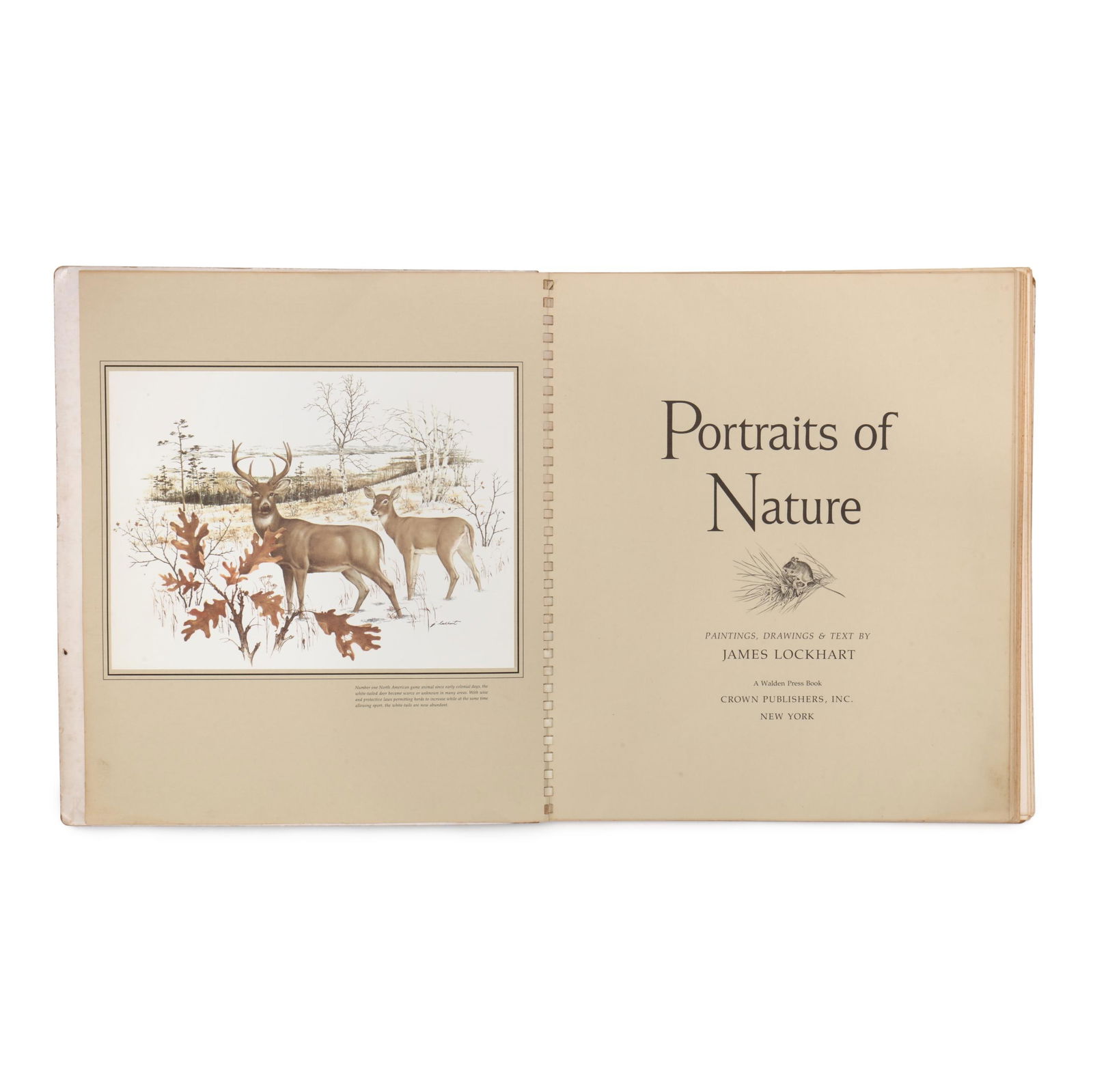 VINTAGE FOLIO OF JAMES LOCKHART'S