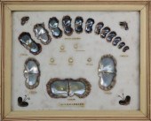 VINTAGE FRAMED AND MOUNTED "SP
