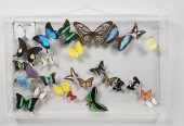 VINTAGE FRAMED COLLECTION OF E