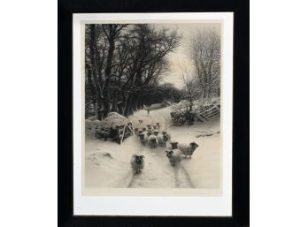 Vintage lithograph titled, ‘The Sun