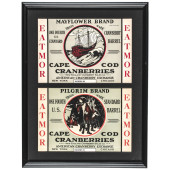 VINTAGE MAYFLOWER BRAND + PILG
